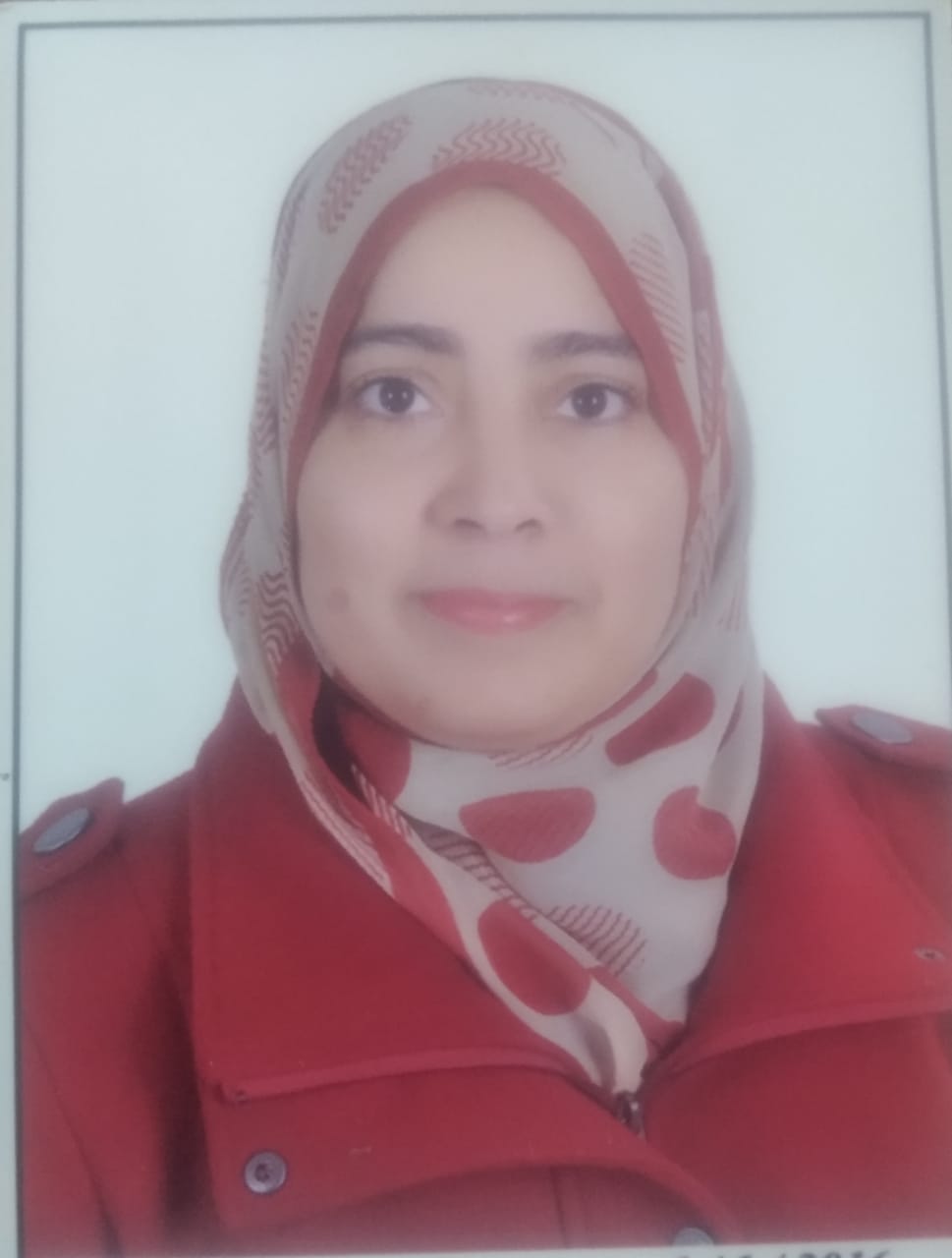 Hanaa Mohammed Abulmagd Ahmed